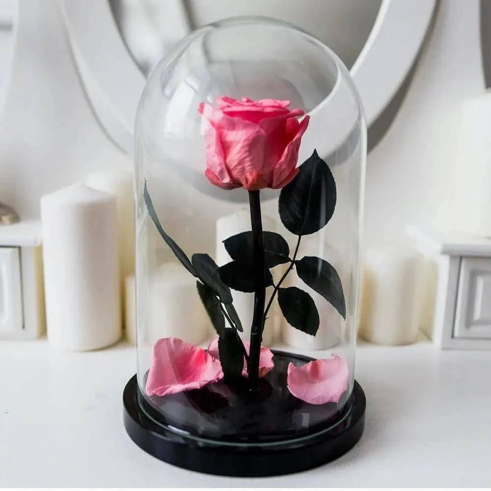 Trandafir Criogenat XL Somon Deschis În Cupolă De Sticlă Elegantă Ø6,5cm Cadou - Trandafir - Criogenat.ro