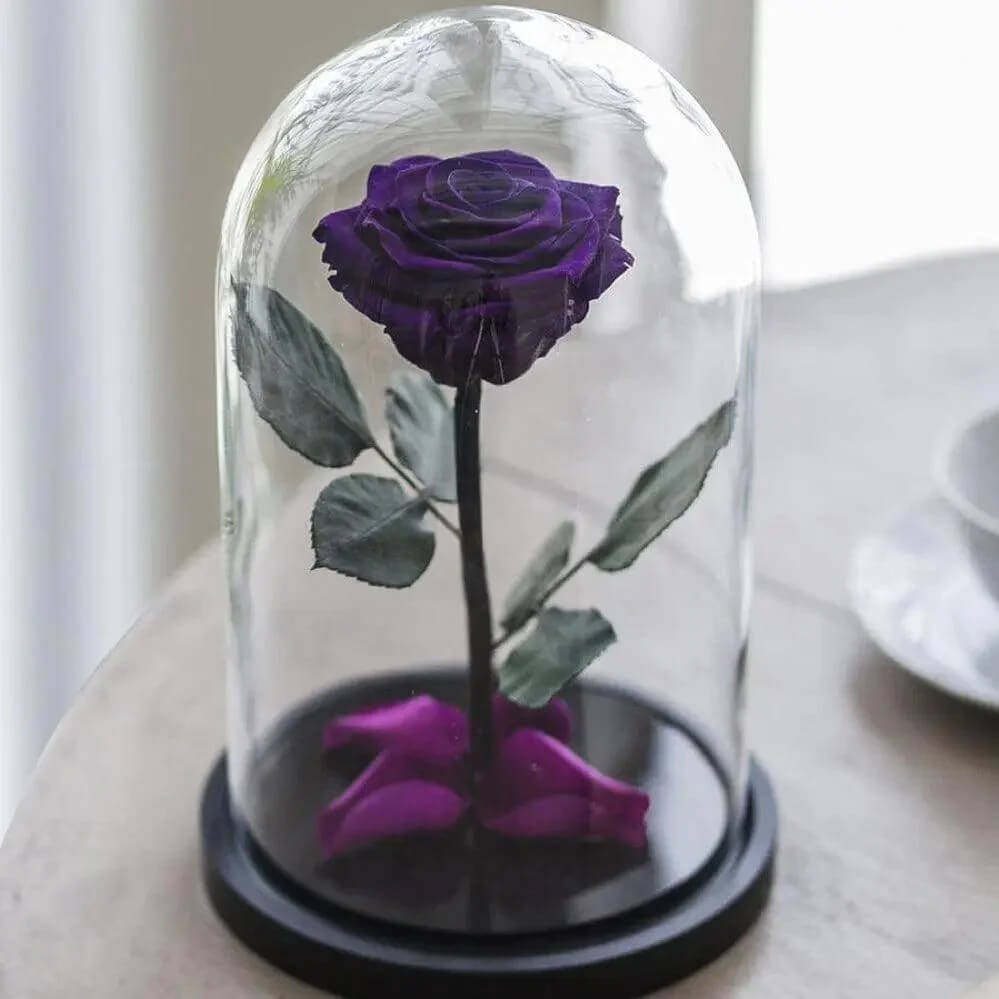 Trandafir Criogenat XL Violet Intens În Cupolă Cadou Perfect Pentru Femei - Trandafir - Criogenat.ro