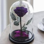 Trandafir Criogenat XL Violet Intens În Cupolă Cadou Perfect Pentru Femei - Trandafir - Criogenat.ro