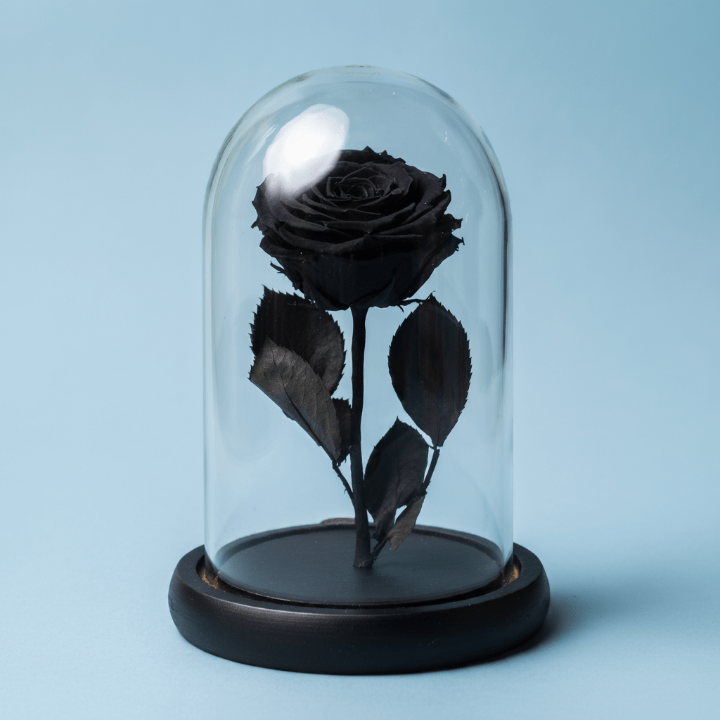 Trandafir Negru Criogenat Premium În Bază De Sticlă Elegantă Cu Cupolă - Trandafir - Criogenat.ro