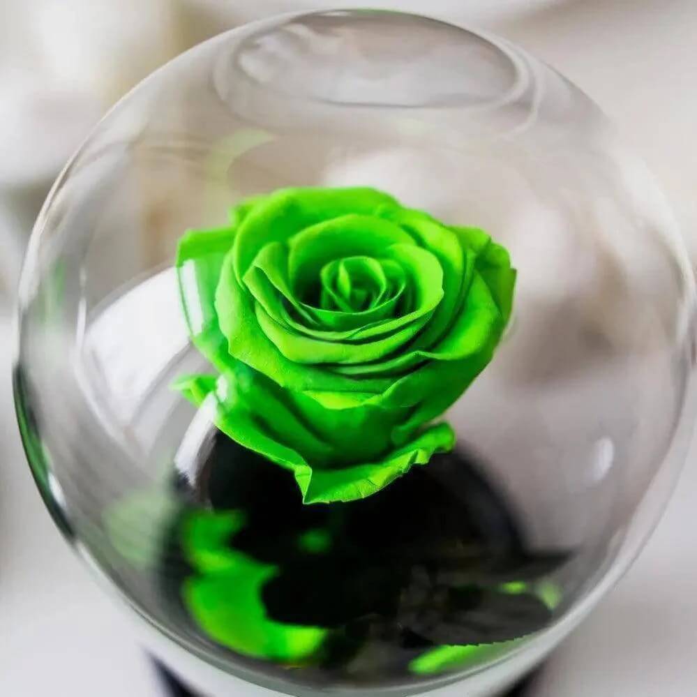Trandafir Nemuritor Criogenat Verde Deschis XL Cupolă Sticlă 6,5 cm Cadou Ideal - Trandafir - Criogenat.ro