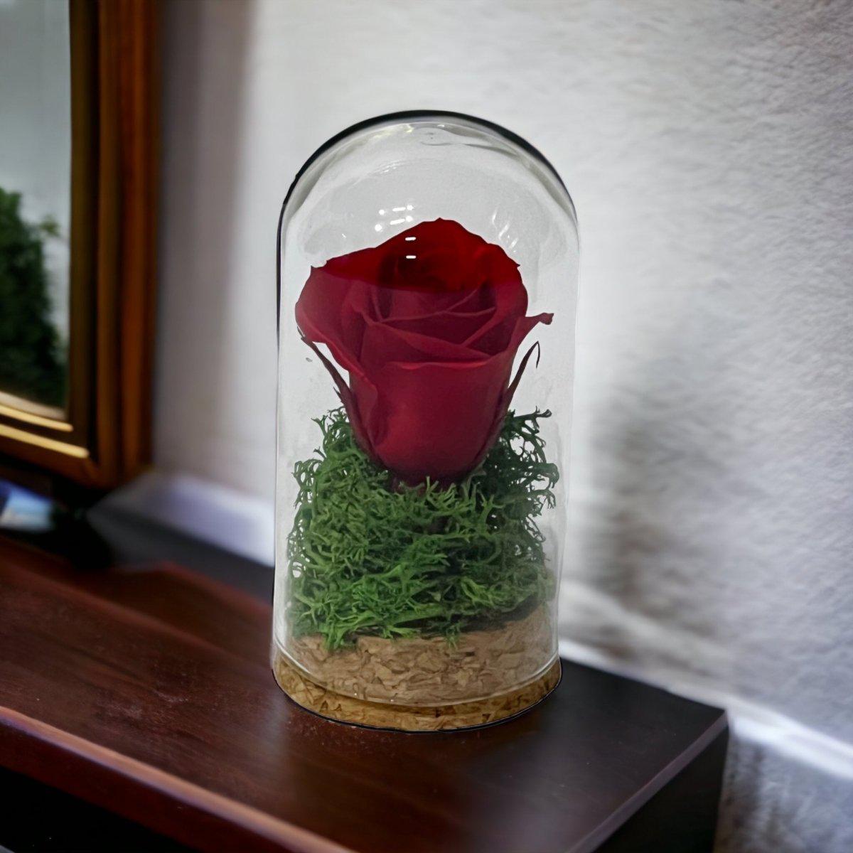 Trandafir Roșu Criogenat În Cupolă Elegantă Cadou Marturie Nunta Botez - Trandafir - Criogenat.ro