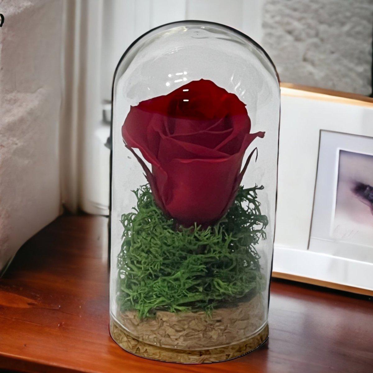 Trandafir Roșu Criogenat În Cupolă Elegantă Cadou Marturie Nunta Botez - Trandafir - Criogenat.ro