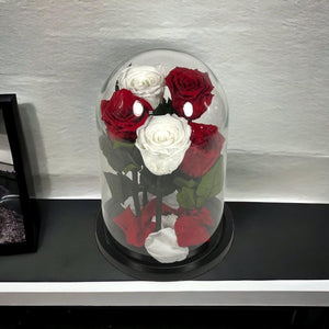 Trandafiri Criogenati In Cupola De Sticla 2 Albi Si 3 Rosii Cadou Elegant - Trandafir - Criogenat.ro