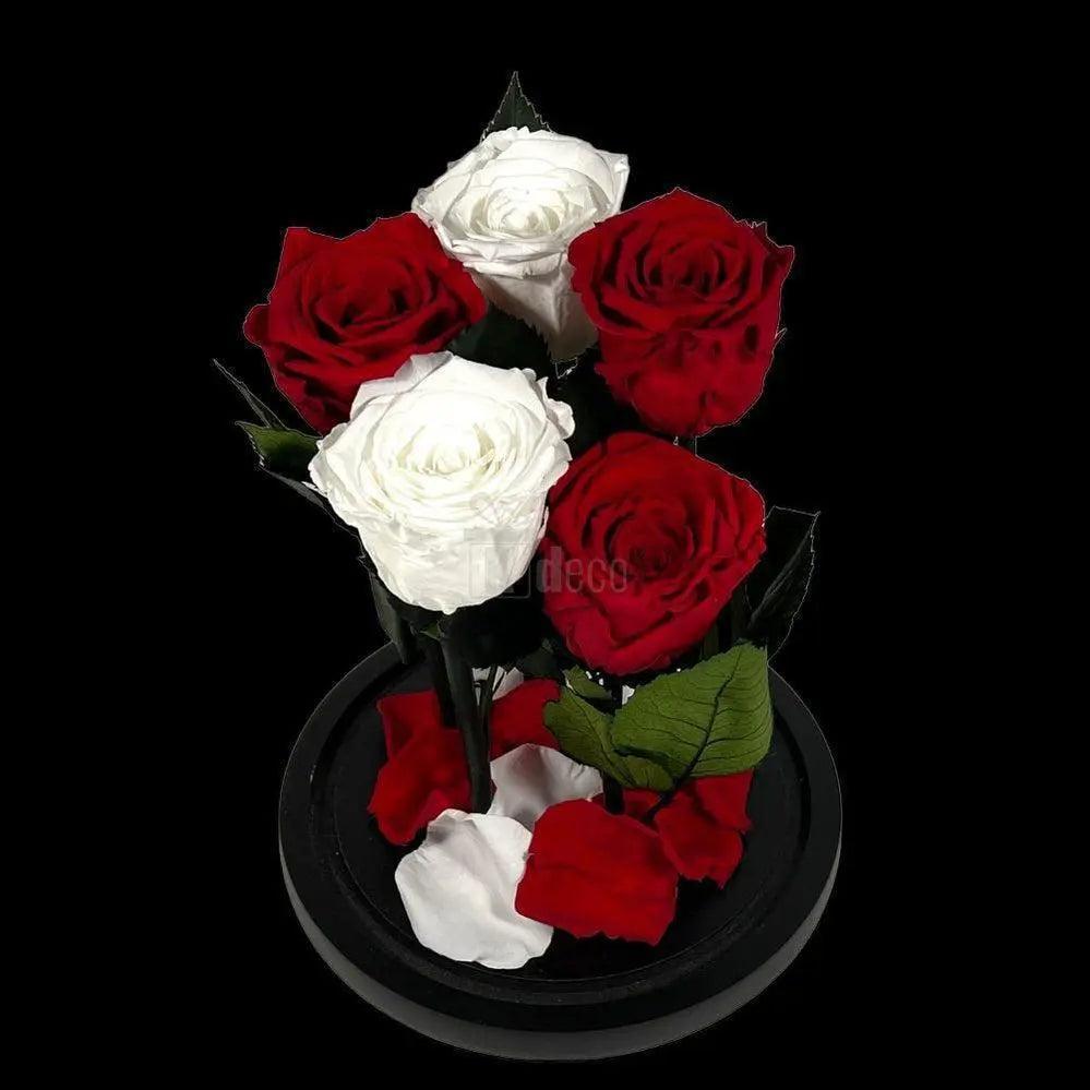 Trandafiri Criogenati In Cupola De Sticla 2 Albi Si 3 Rosii Cadou Elegant - Trandafir - Criogenat.ro