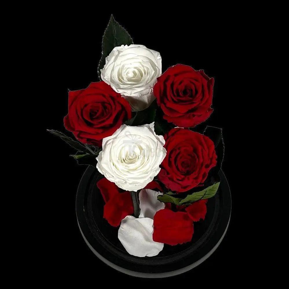Trandafiri Criogenati In Cupola De Sticla 2 Albi Si 3 Rosii Cadou Elegant - Trandafir - Criogenat.ro