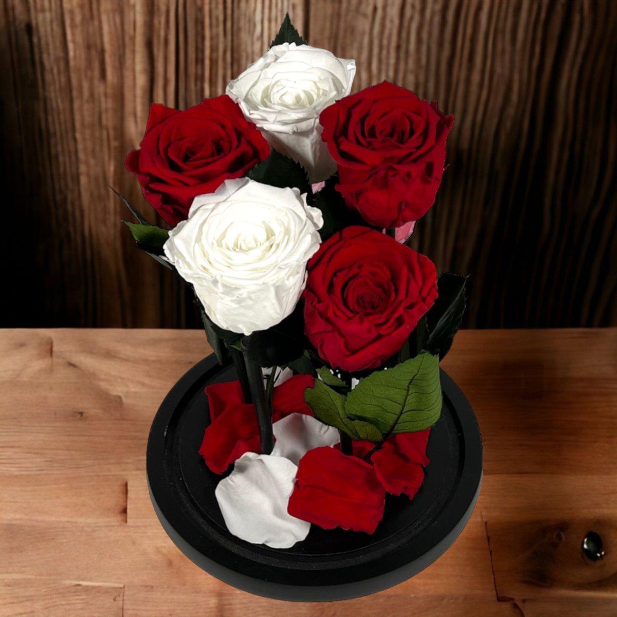 Trandafiri Criogenati In Cupola De Sticla 2 Albi Si 3 Rosii Cadou Elegant - Trandafir - Criogenat.ro