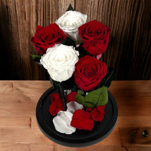 Trandafiri Criogenati In Cupola De Sticla 2 Albi Si 3 Rosii Cadou Elegant - Trandafir - Criogenat.ro