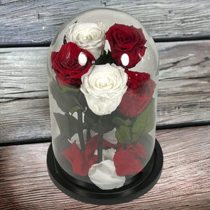 Trandafiri Criogenati In Cupola De Sticla 2 Albi Si 3 Rosii Cadou Elegant - Trandafir - Criogenat.ro