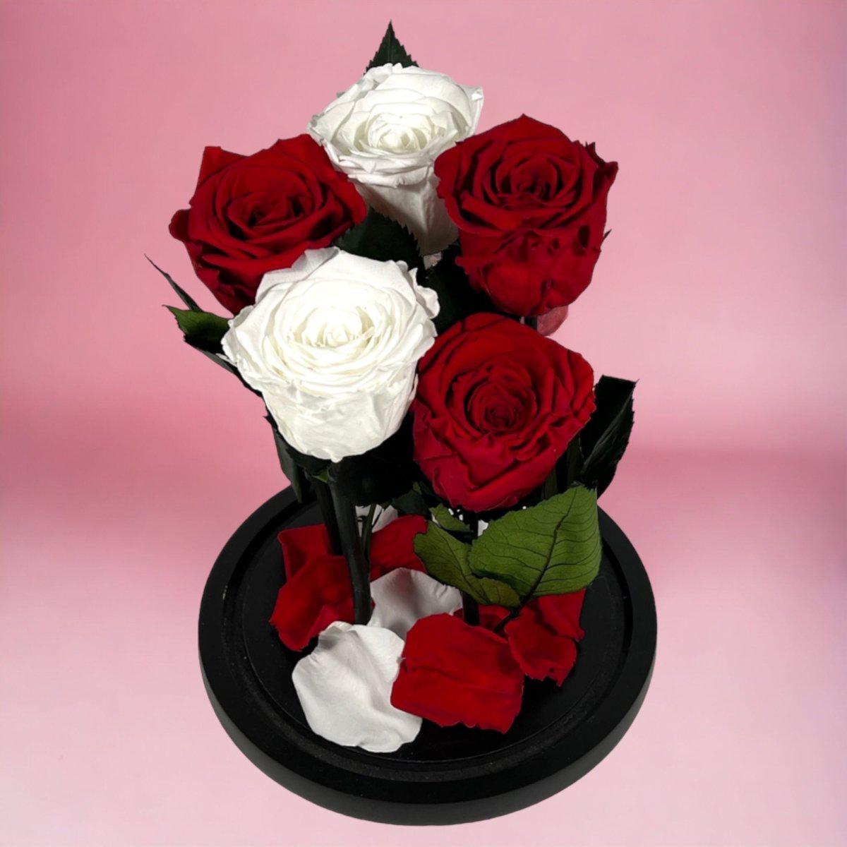 Trandafiri Criogenati In Cupola De Sticla 2 Albi Si 3 Rosii Cadou Elegant - Trandafir - Criogenat.ro