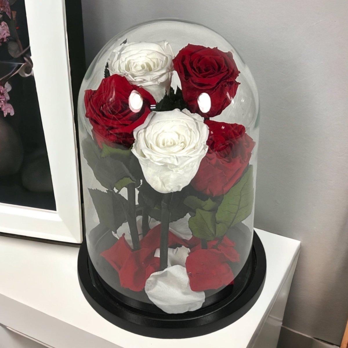 Trandafiri Criogenati In Cupola De Sticla 2 Albi Si 3 Rosii Cadou Elegant - Trandafir - Criogenat.ro