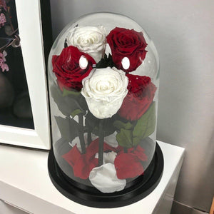 Trandafiri Criogenati In Cupola De Sticla 2 Albi Si 3 Rosii Cadou Elegant - Trandafir - Criogenat.ro