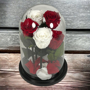 Trandafiri Criogenati In Cupola De Sticla 2 Albi Si 3 Rosii Cadou Elegant - Trandafir - Criogenat.ro