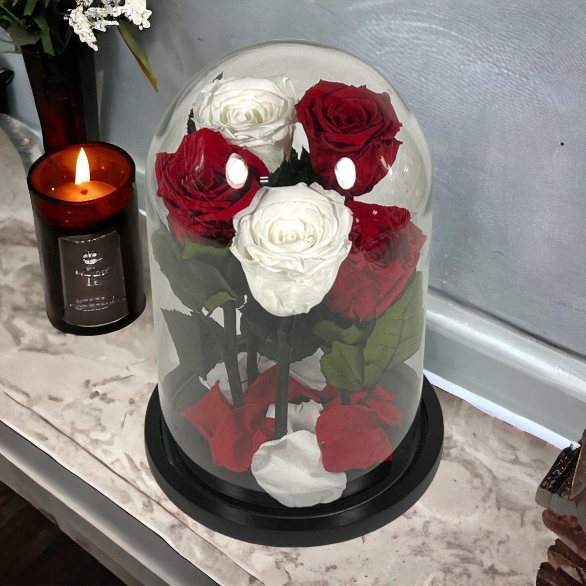Trandafiri Criogenati In Cupola De Sticla 2 Albi Si 3 Rosii Cadou Elegant - Trandafir - Criogenat.ro