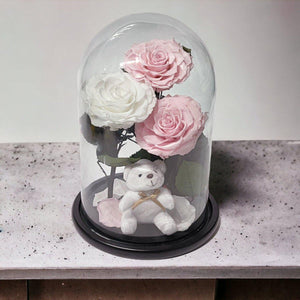 Trandafiri Criogenati În Cupolă De Sticlă Cu Ursuleț Plush 2 Roz Pal 1 Alb - Trandafir - Criogenat.ro