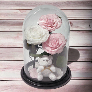 Trandafiri Criogenati În Cupolă De Sticlă Cu Ursuleț Plush 2 Roz Pal 1 Alb - Trandafir - Criogenat.ro