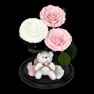 Trandafiri Criogenati În Cupolă De Sticlă Cu Ursuleț Plush 2 Roz Pal 1 Alb - Trandafir - Criogenat.ro