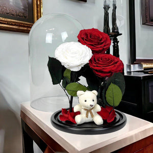 Trandafiri Criogenati Magnifici In Cupolă De Sticlă Cu 3 Flori 2 Roșii Și 1 Alb - Trandafir - Criogenat.ro