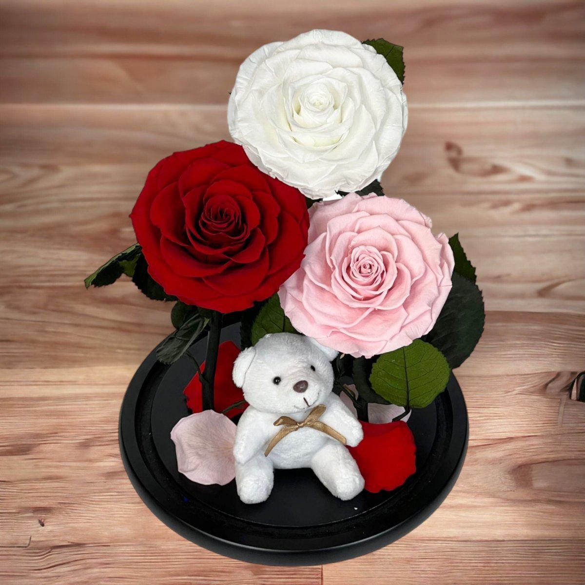 Trandafiri Criogenati XXL În Cupolă Elegantă De Sticlă Alb Roșu Roz Pal - Trandafir - Criogenat.ro