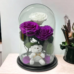 Trei Trandafiri Criogenati Impresionanti in Cupola de Sticlă Purpurii si Albi - Trandafir - Criogenat.ro