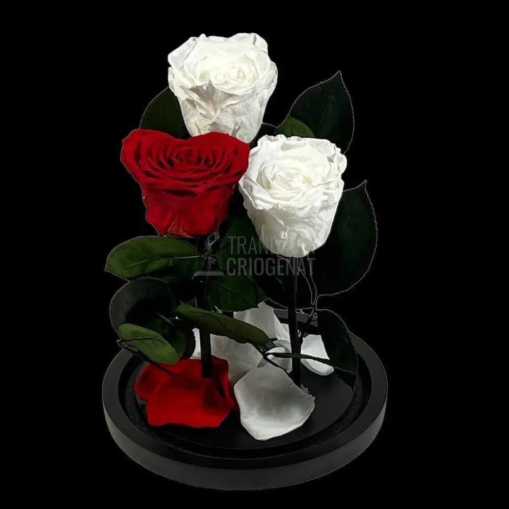 2 Trandafiri Criogenati albi, 1 trandafir rosu in forma de inima - Trandafir-Criogenat.ro