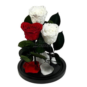 2 Trandafiri Criogenati albi, 1 trandafir rosu in forma de inima - Trandafir-Criogenat.ro