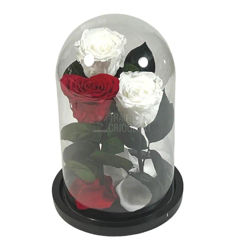 2 Trandafiri Criogenati albi, 1 trandafir rosu in forma de inima - Trandafir-Criogenat.ro