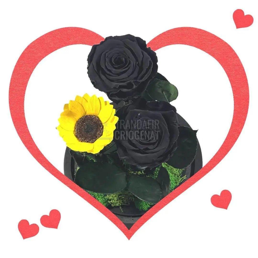 2 Trandafiri Criogenati negrii, 1 floarea soarelui, cupola sticla - Trandafir-Criogenat.ro