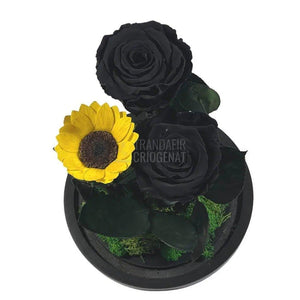 2 Trandafiri Criogenati negrii, 1 floarea soarelui, cupola sticla - Trandafir-Criogenat.ro