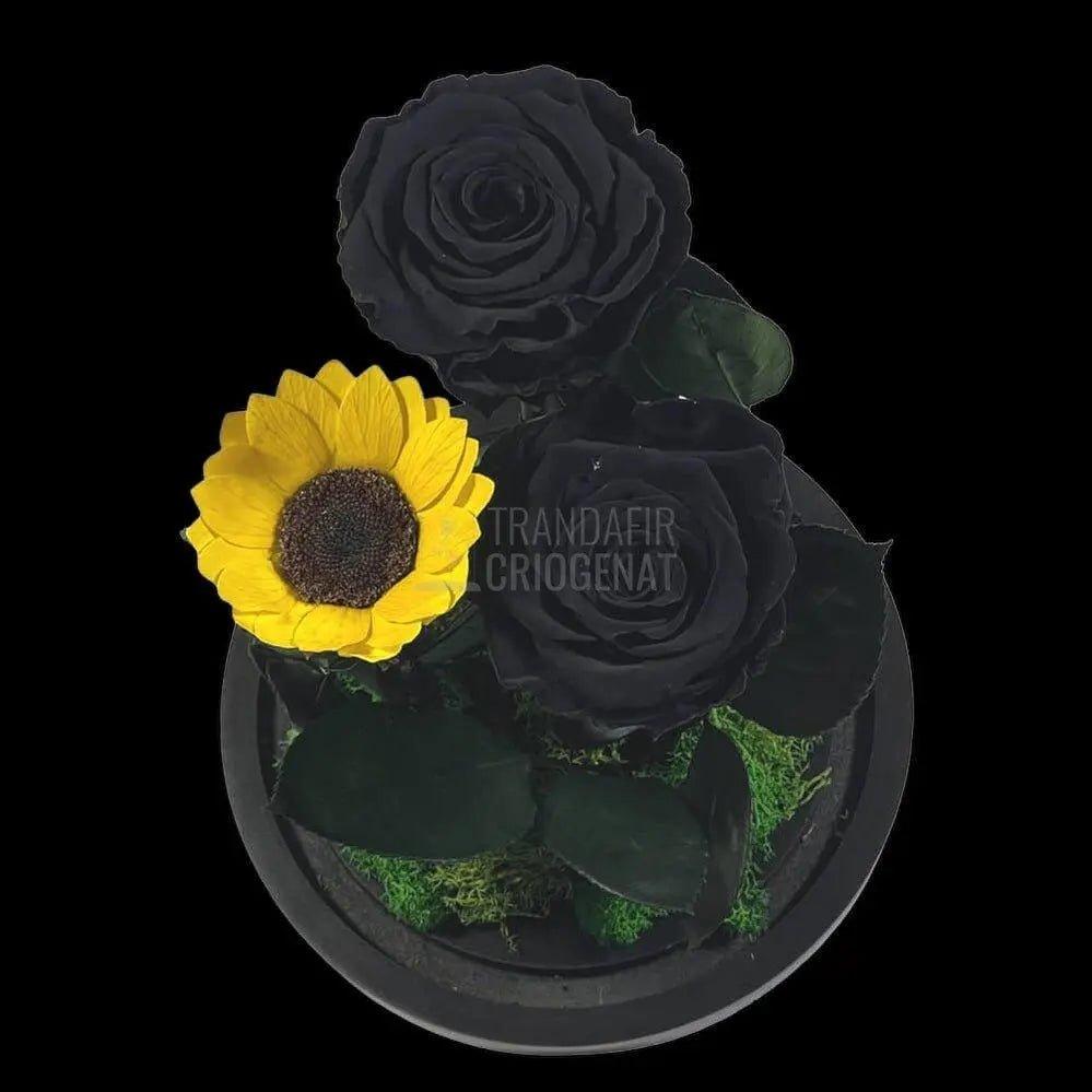 2 Trandafiri Criogenati negrii, 1 floarea soarelui, cupola sticla - Trandafir-Criogenat.ro