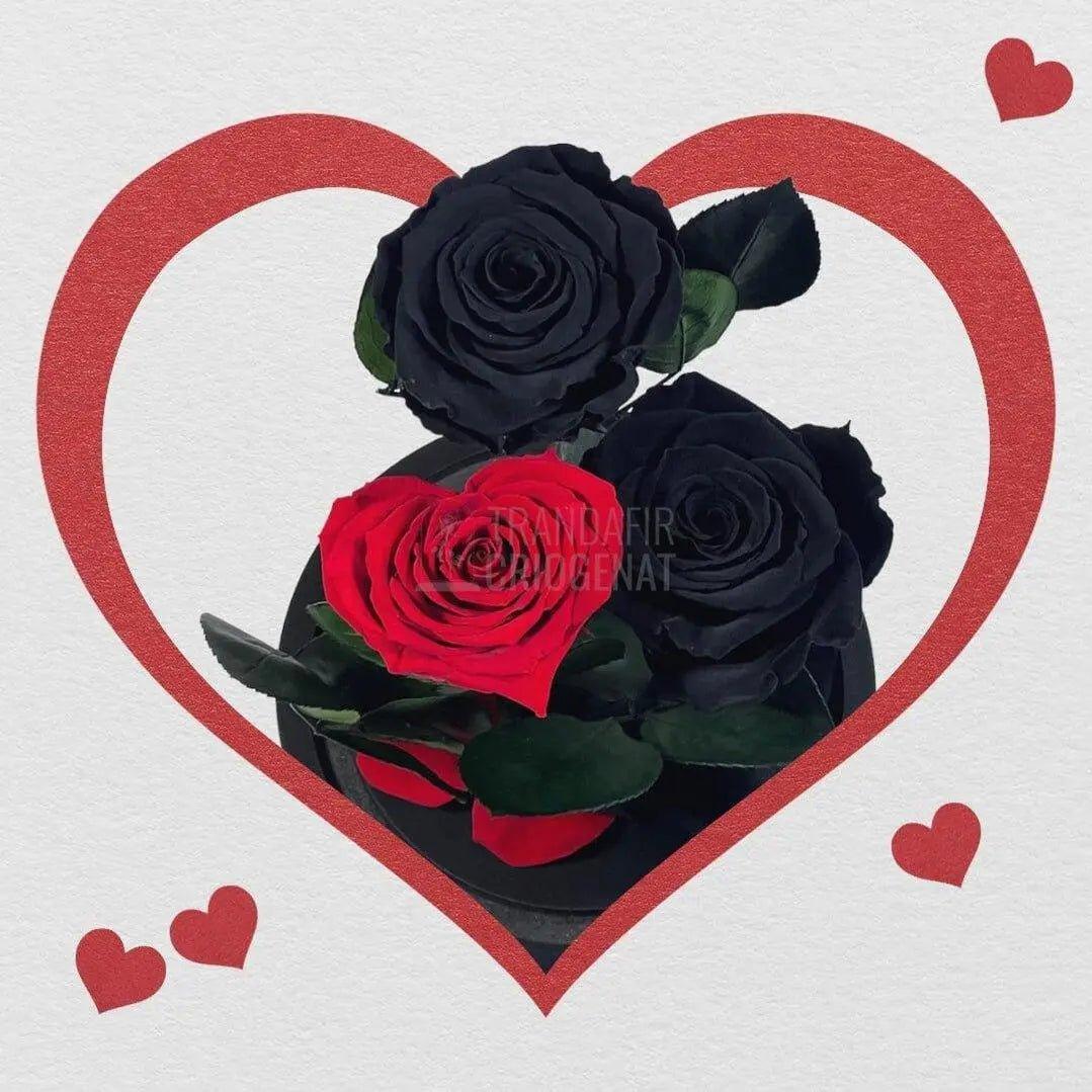 2 Trandafiri Criogenati negrii, 1 trandafir rosu cu forma inima - Trandafir-Criogenat.ro