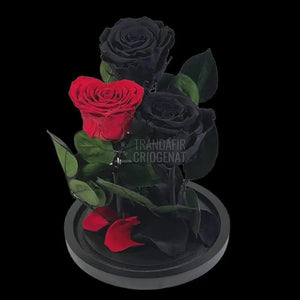 2 Trandafiri Criogenati negrii, 1 trandafir rosu cu forma inima - Trandafir-Criogenat.ro