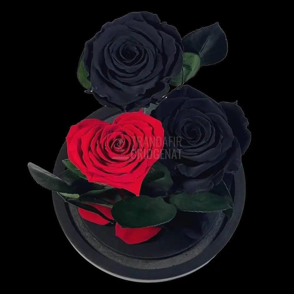 2 Trandafiri Criogenati negrii, 1 trandafir rosu cu forma inima - Trandafir-Criogenat.ro