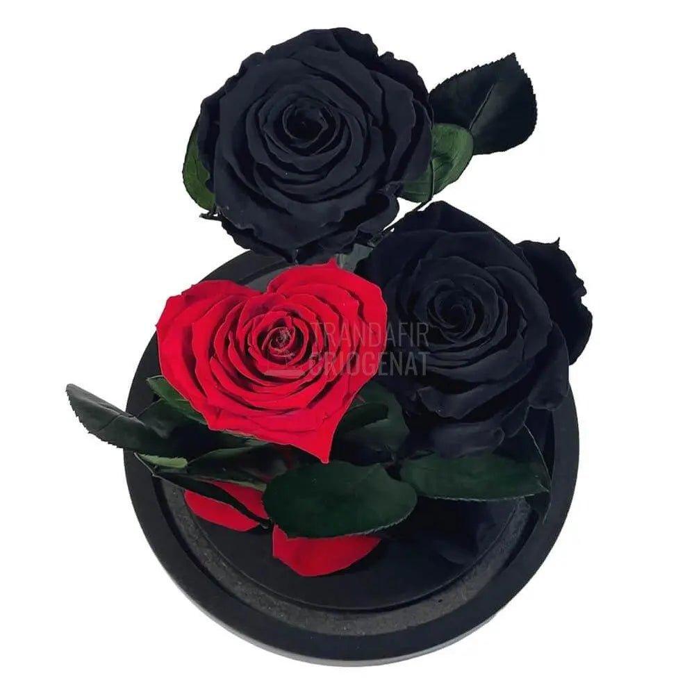 2 Trandafiri Criogenati negrii, 1 trandafir rosu cu forma inima - Trandafir-Criogenat.ro