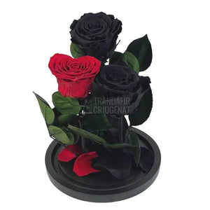 2 Trandafiri Criogenati negrii, 1 trandafir rosu cu forma inima - Trandafir-Criogenat.ro