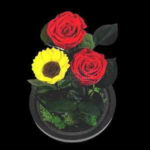 2 Trandafiri Criogenati rosii, 1 floarea soarelui, cupola 15x25cm - Trandafir-Criogenat.ro