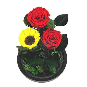 2 Trandafiri Criogenati rosii, 1 floarea soarelui, cupola 15x25cm - Trandafir-Criogenat.ro