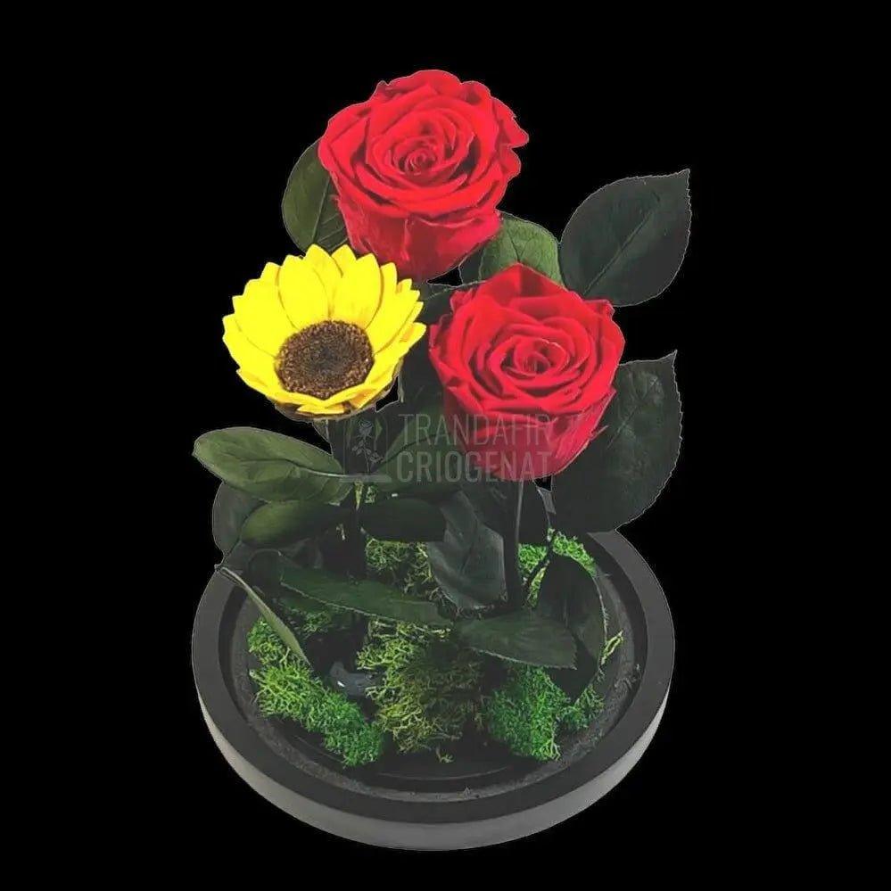 2 Trandafiri Criogenati rosii, 1 floarea soarelui, cupola 15x25cm - Trandafir-Criogenat.ro