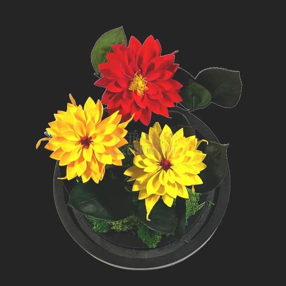 3 Dalii Criogenate rosie, portocalie, galbena in cupola de sticla - Trandafir-Criogenat.ro