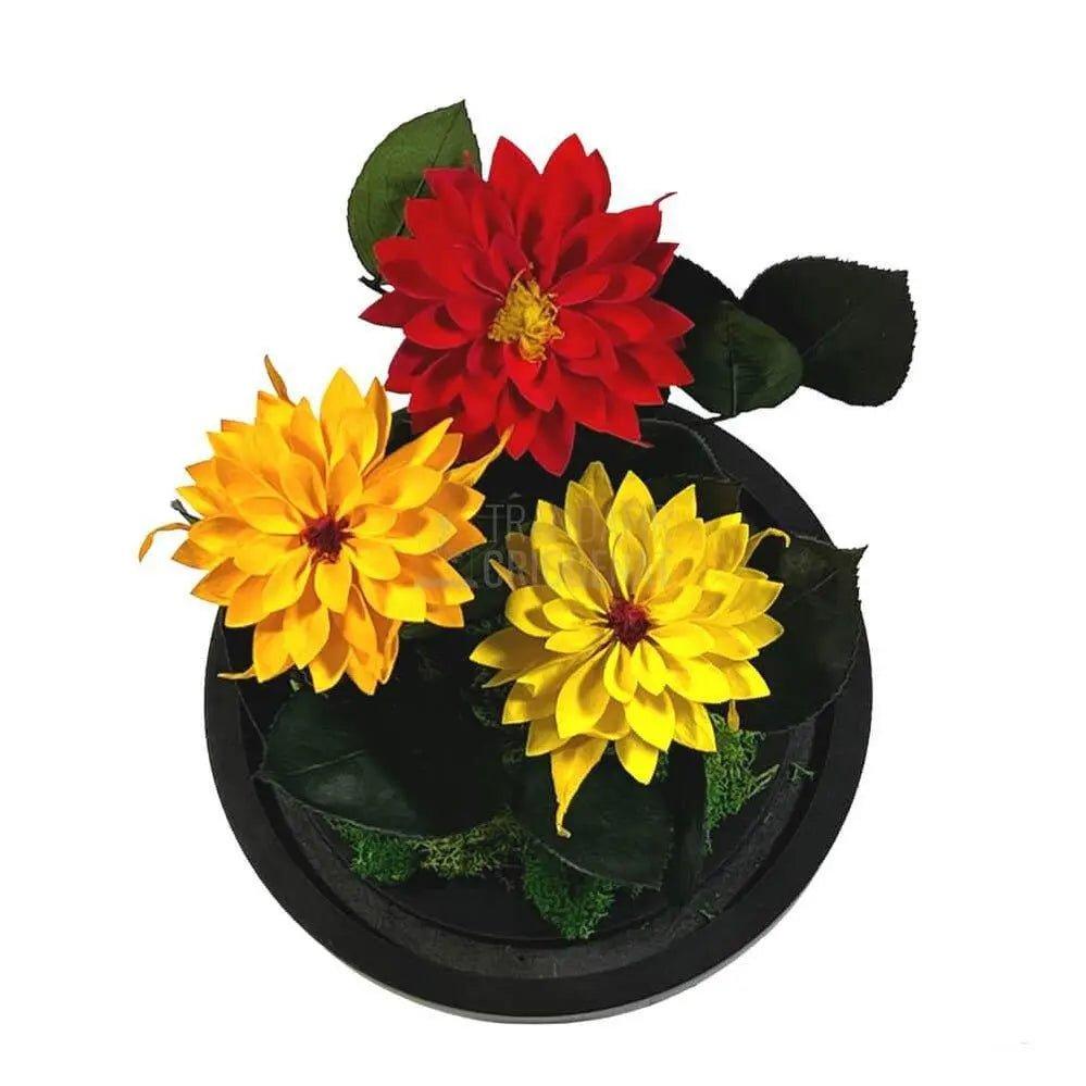 3 Dalii Criogenate rosie, portocalie, galbena in cupola de sticla - Trandafir-Criogenat.ro