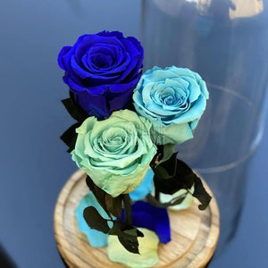 3 Trandafiri bleu, albastru, turcoaz Ø6,5cm, cupola 15x25cm - Trandafir-Criogenat.ro