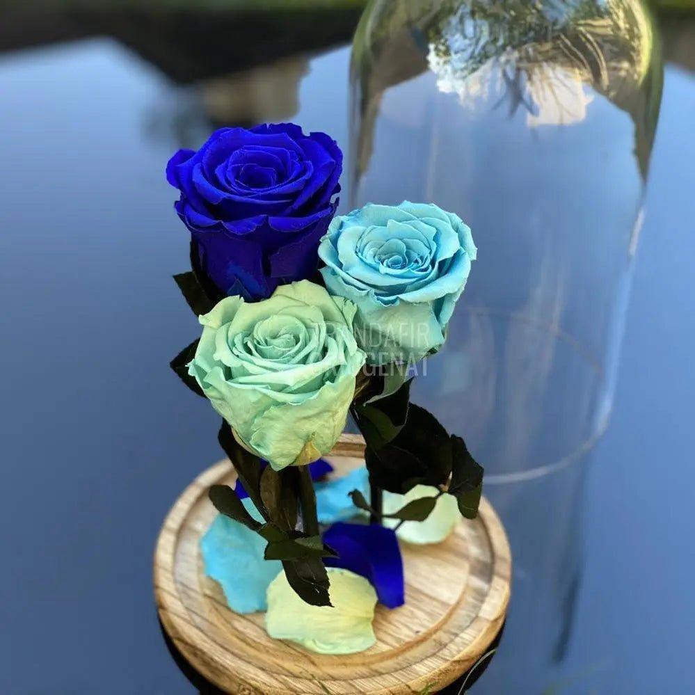 3 Trandafiri bleu, albastru, turcoaz Ø6,5cm, cupola 15x25cm - Trandafir-Criogenat.ro