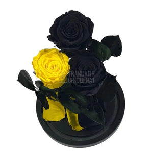 3 Trandafiri Criogenati, 2 negrii si 1 galben, in cupola sticla - Trandafir-Criogenat.ro