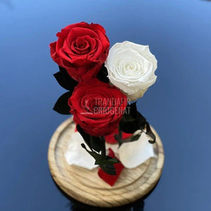 3 Trandafiri Criogenati 2 rosii, 1 alb Ø6,5cm, cupola 15x25cm - Trandafir-Criogenat.ro