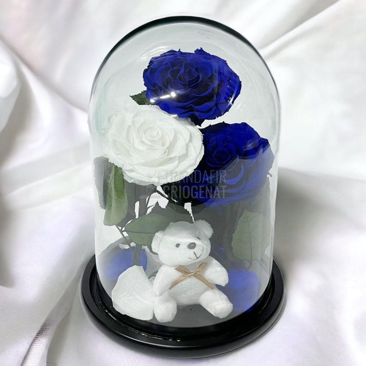 3 Trandafiri Criogenati mari, 2 albastrii, 1 alb, cupola ursulet - Trandafir-Criogenat.ro