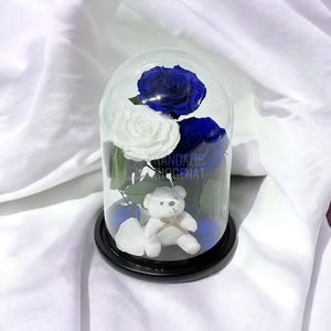 3 Trandafiri Criogenati mari, 2 albastrii, 1 alb, cupola ursulet - Trandafir-Criogenat.ro