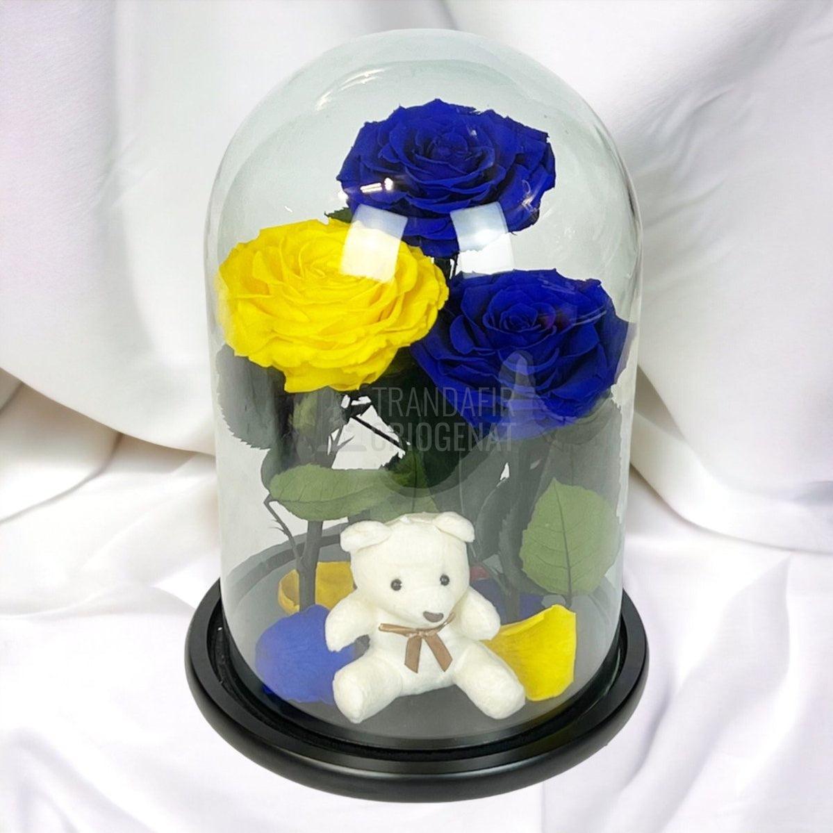 3 Trandafiri Criogenati mari, 2 albastrii, 1 galben, cupola ursulet - Trandafir-Criogenat.ro
