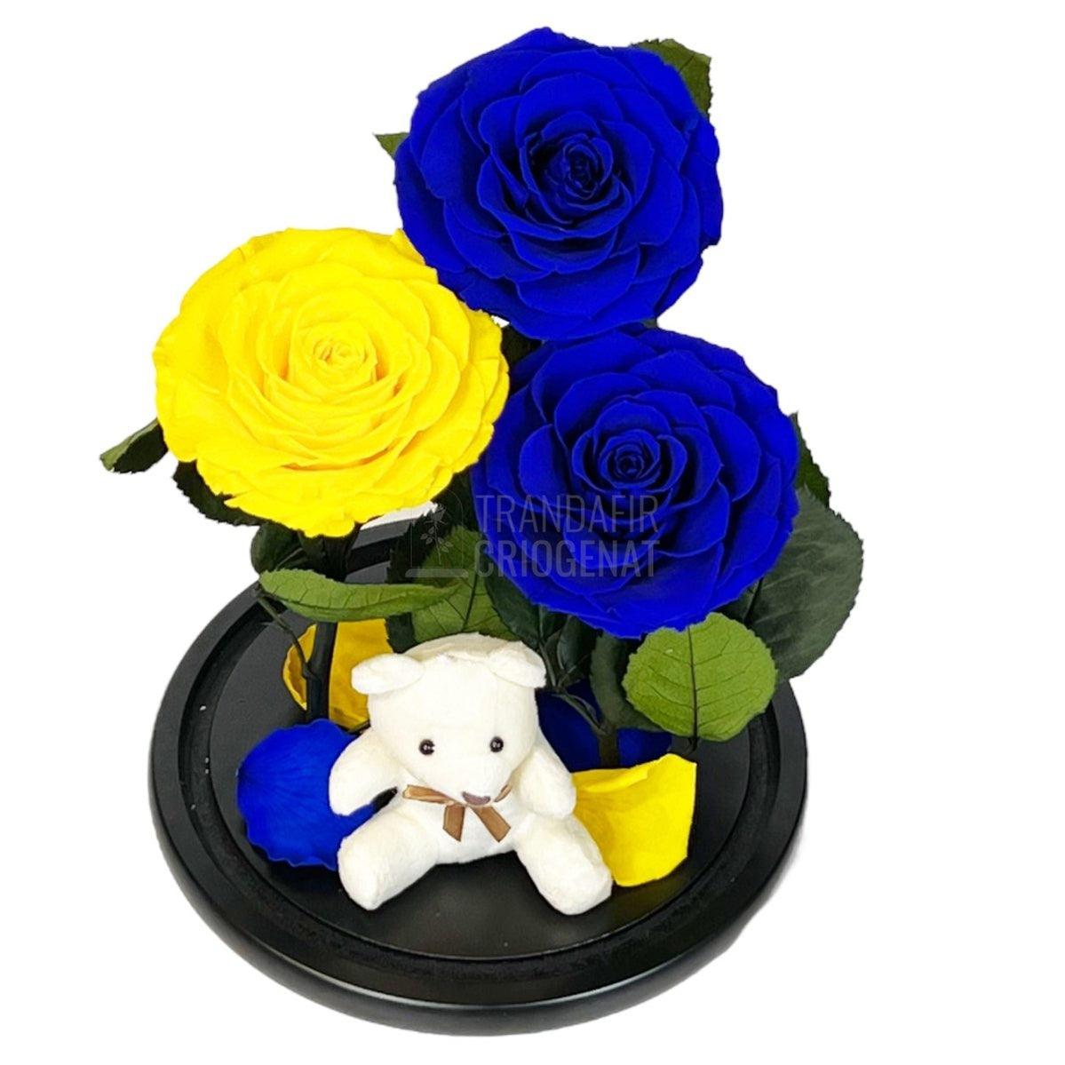 3 Trandafiri Criogenati mari, 2 albastrii, 1 galben, cupola ursulet - Trandafir-Criogenat.ro