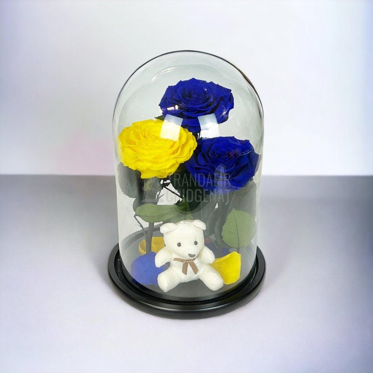 3 Trandafiri Criogenati mari, 2 albastrii, 1 galben, cupola ursulet - Trandafir-Criogenat.ro