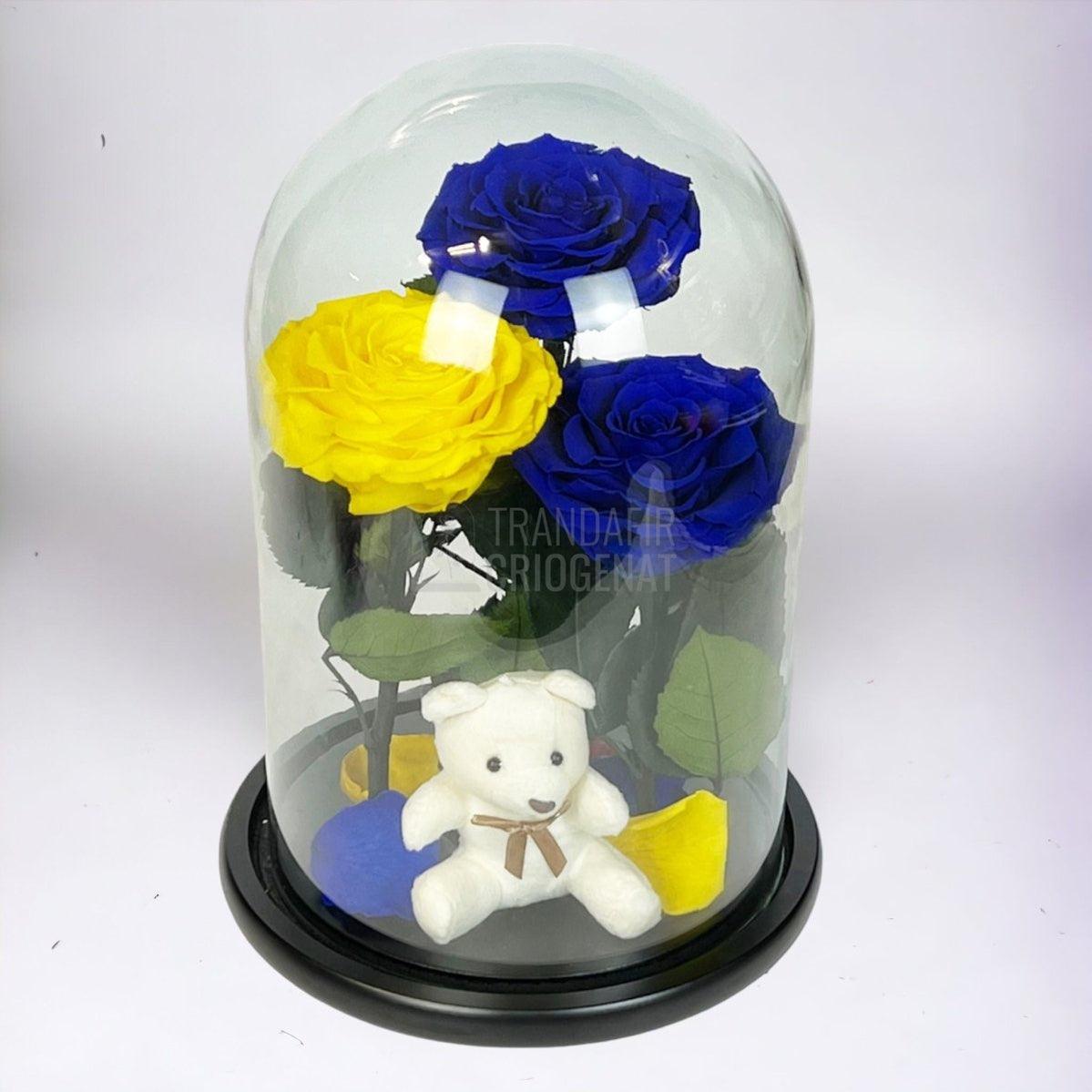 3 Trandafiri Criogenati mari, 2 albastrii, 1 galben, cupola ursulet - Trandafir-Criogenat.ro